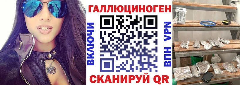Псилоцибиновые грибы GOLDEN TEACHER  купить наркотики цена  Бородино 